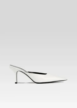 Hot Daphne Mule Coming Soon