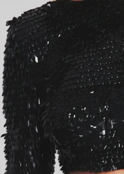 Store Leanne Feather Sequin Top Final Sale