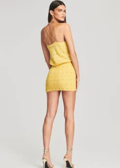 Discount Petra Embellished Silk Chiffon Dress Final Sale